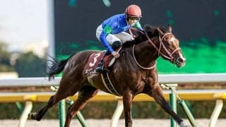 【仏・モーリスドゲスト賞結果】英ハイフィールドプリンセスがG1初勝利、キングエルメスは11着