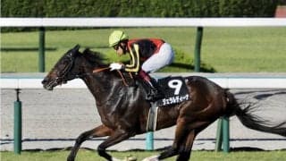 【小倉記念登録馬】ジェラルディーナなど20頭