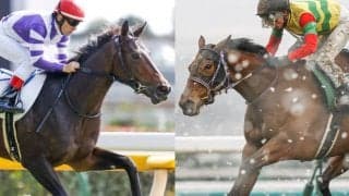 【先週のJRA抹消馬】クラヴァシュドール、クリスティ、ファインルージュ、フェアリーポルカなど