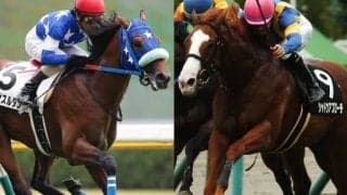 【POGデビュー情報】祖母はマイル重賞馬、従兄はミュゼスルタン　ヴェルテンベルクが日曜小倉で初陣