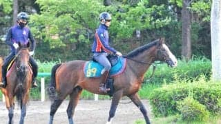 近親にタワーオブロンドン、ディーマジェスティなど サスツルギがC.ルメール騎手でデビュー/関東馬メイクデビュー情報