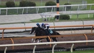 母系にダート3勝馬 ニシノコウダイが小倉の芝1200mでデビュー/関西馬メイクデビュー情報