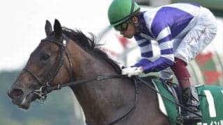 ファインルージュが5日付で競走馬登録を抹消、今後はノーザンファームで繁殖馬に