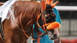 ノーブルマーズが地方登録を抹消　2018年の目黒記念2着、宝塚記念3着などの実績