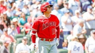 大谷翔平、投手との交錯を俯瞰映像で米記者が検証　意見様々「もう30cm離れていれば」