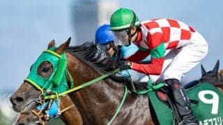 父ヘニーヒューズは全日本ダート種牡馬ランキングで首位