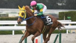 【小倉記念展望】サマー2000シリーズ第3弾、あの馬の巻き返しに期待したい