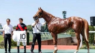 【次走】7馬身差で未勝利勝ちのスクーバーはヤマボウシ賞へ デビュー戦のリベンジなるか
