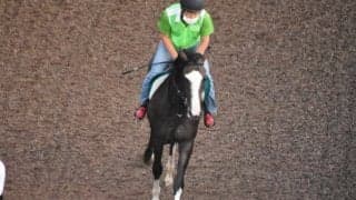 リグレイアーなど、先週のゲート試験/栗東トレセンニュース