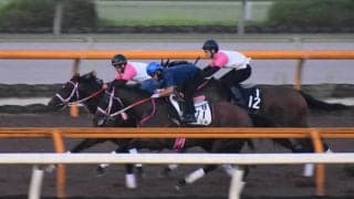 シャマル、サマーチャンピオン追い切り速報/栗東トレセンニュース