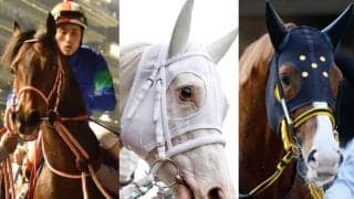 【札幌記念想定】ソダシ、パンサラッサ、ジャックドール、マカヒキ、グローリーヴェイズ、ユーバーレーベンなど重賞馬13頭が集結