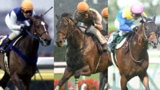 【POG】近親にキセキ、グレーターロンドン、ダイワエルシエーロなど　ショウナンダグラスが21日に新潟でデビュー