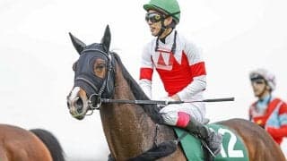 重賞3勝馬スワーヴアラミスがJRA登録を抹消  今後は大井競馬へ