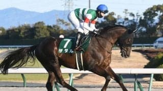 【関屋記念予想】AIと見立てが一致！ 魅力十分な注目馬とは