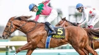 【JRA】ボンセルヴィーソが種子骨靱帯炎を発症 今後は生まれ故郷で乗馬に