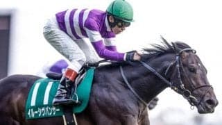 【関屋記念出走馬・騎手確定】イルーシヴパンサー＆岩田望来騎手、ダノンザキッド＆川田将雅騎手など14頭