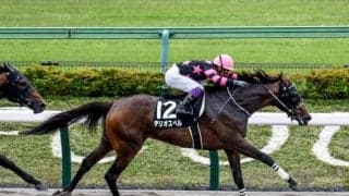 【ブリーダーズゴールドC18時時点オッズ】テリオスベルが2.7倍の1番人気