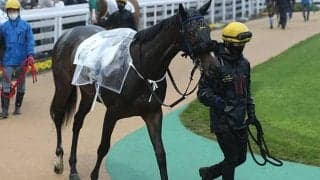 【地方競馬】ジャンポケ斉藤の愛馬オマタセシマシタの4戦目、初勝利ならずも過去最高の4着