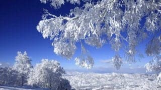 2022年版ワーケーション最新事情 〜＋スポーツでウェルビーイングな働き方へ〜