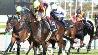 【小倉記念枠順確定】ジェラルディーナは2枠4番、マリアエレーナは1枠2番