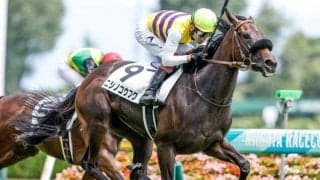 【次走】ニシノコウフクはアルテミスSへ サトノクラウンの初年度産駒