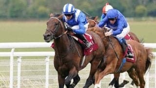 トップはバーイード、タイトルホルダーは5位タイ ロンジンワールドベストレースホースランキングが発表