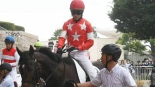 【次走】GI3勝馬ロゴタイプの甥・レッドソリッドは札幌2歳Sへ