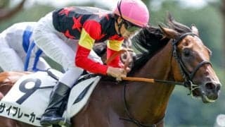 【次走】米国産馬サイブレーカーは京都2歳Sや百日草特別が次走候補　近親に今年の米G1馬ホワイトアバリオ