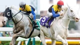 【札幌記念想定】ソダシ、パンサラッサ、マカヒキなどGI馬5頭が集結　ハヤヤッコ参戦で「白毛馬対決」が実現