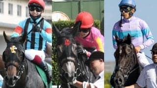 【北九州記念想定】テイエムスパーダ、ファストフォース、ナムラクレアなど快速馬17頭が集結