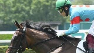 【次走】「薔薇一族」の2歳牝馬アロマデローサはききょうSへ　7月小倉の新馬戦を快勝