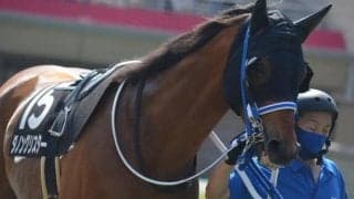 【今日の注目ポイント】小倉再開初日のメインは阿蘇S　札幌で2歳OP・コスモス賞など