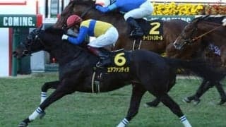 関屋記念は末脚に特化したタイプが優位。騎手の奮起が期待できる伏兵の一発に要注意