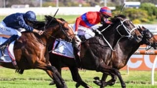 【海外競馬】豪G1・11勝の7歳牝馬ベリーエレガント、フランス移籍初戦はデットーリ騎手とコンビ