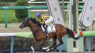 【盛岡・クラスターC枠順確定】ダンシングプリンスは1枠1番、リメイクは3枠4番