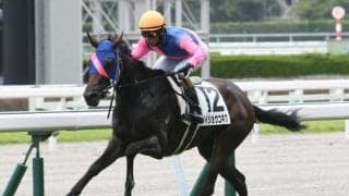 【小倉5R新馬戦結果】メイショウコギクが逃げて6馬身差圧勝
