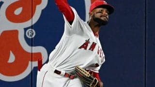 【MLB】「やれば出来る子アデル」　走者絶望、149キロのレーザー送球にファン騒然「キャノン」