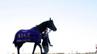 落札価格は約3億円！ ゼンノロブロイの近親馬をクールモアが米セールで購入