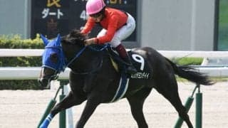 【フェニックス賞結果】ミカッテヨンデイイがデビュー3戦目で初勝利