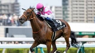 【コスモス賞結果】モリアーナが人気に応えて無傷2連勝