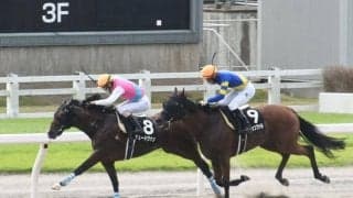 【阿蘇S結果】デュードヴァンが逃げる競馬で久々の白星