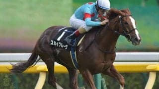 【関屋記念予想】超良血も人気先行!? 苦戦傾向「距離延長」に一抹の不安