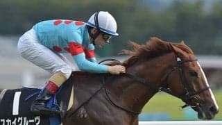 【AI予想・関屋記念】好相性コンビで鬼に金棒!? イルーシヴパンサー、ダノンザキッドではない「◎」は…