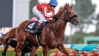 競走中止、競走除外馬の概要一覧　岩田望来騎手の落馬負傷乗り替わりなど/8月13日新潟・小倉・札幌