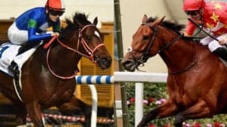 バスラットレオンは6番枠からスタート コロエバスやインスパイラルなど強豪集結/仏G1・ジャックルマロワ賞枠順確定