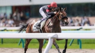 【札幌2R】武豊 イモータルフェイムが抜け出して初勝利