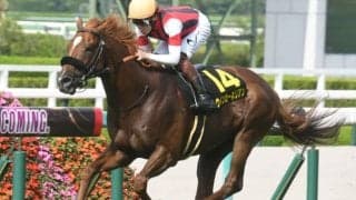 【今日の注目ポイント】新潟でサマーマイル第3弾の関屋記念、小倉でハンデGIII小倉記念