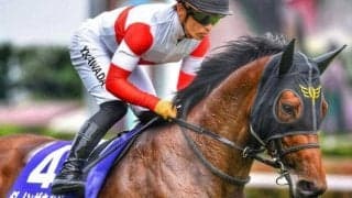 【関屋記念予想】GI馬出走も混戦模様　広い新潟の外回りで長く良い脚を使う馬を狙え