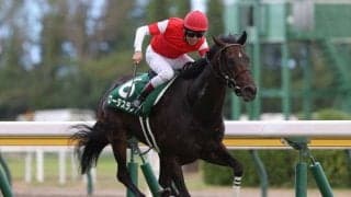 【関屋記念予想】成績良いのは1＆4番人気の馬？  さらに過去18年間連続連対中の7・8枠重視で！