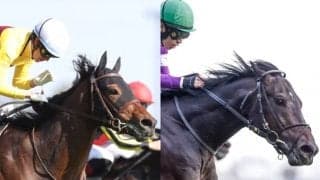 【関屋記念】イルーシヴパンサーは木幡巧也騎手、ピースワンパラディは石橋脩騎手に乗り替わり